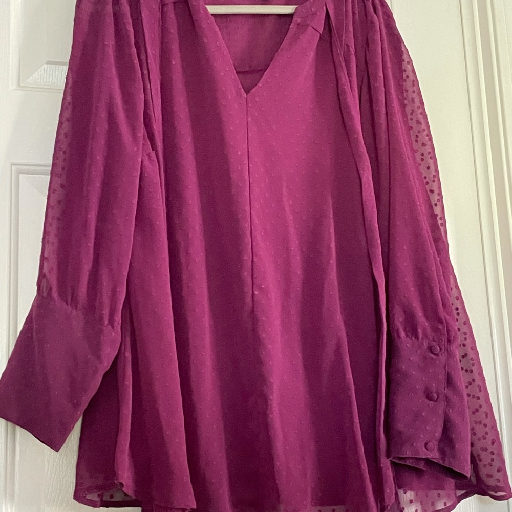 Lane Bryant sheer with paneling purple blouse size 18/20